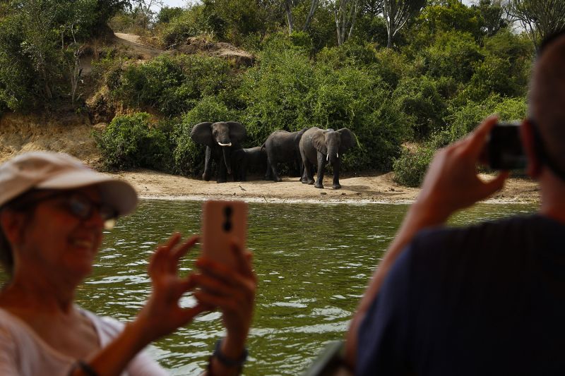 Tourists photograph elephants in Queen Elizabeth National Park.